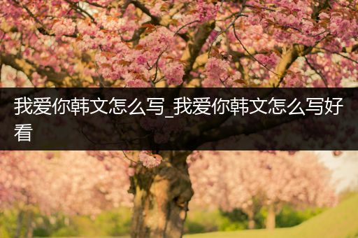 我爱你韩文怎么写_我爱你韩文怎么写好看