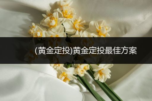 (黄金定投)黄金定投最佳方案