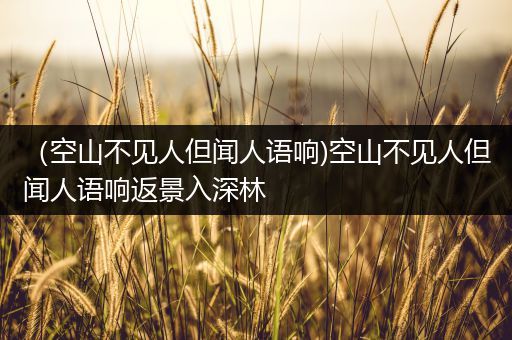 (空山不见人但闻人语响)空山不见人但闻人语响返景入深林