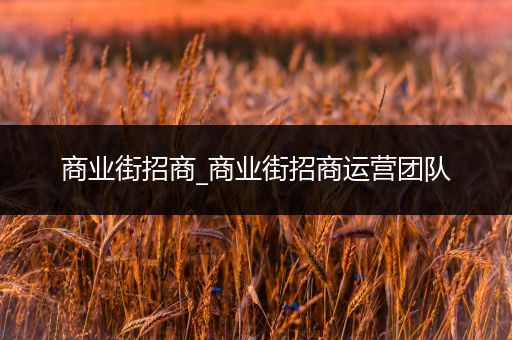 商业街招商_商业街招商运营团队