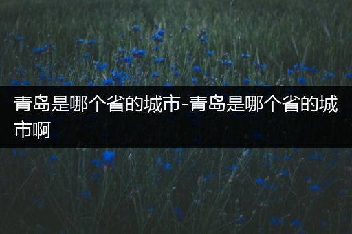 青岛是哪个省的城市-青岛是哪个省的城市啊