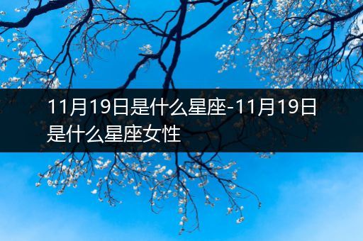 11月19日是什么星座-11月19日是什么星座女性