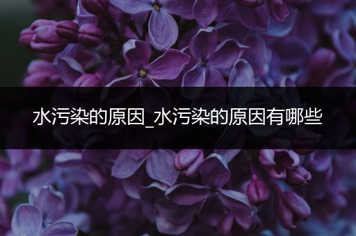 水污染的原因_水污染的原因有哪些