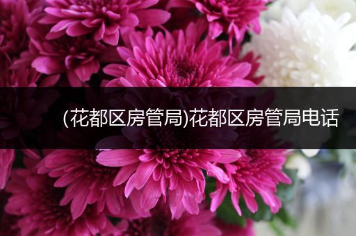 (花都区房管局)花都区房管局电话