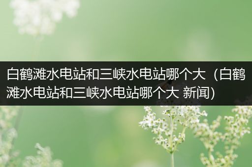 白鹤滩水电站和三峡水电站哪个大(白鹤滩水电站和三峡水电站哪个大 新闻)