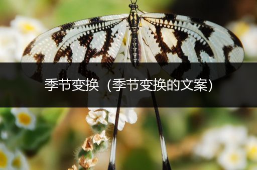季节变换(季节变换的文案)