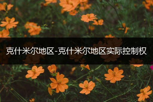 克什米尔地区-克什米尔地区实际控制权