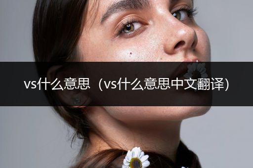 vs什么意思(vs什么意思中文翻译)