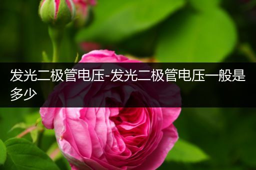 发光二极管电压-发光二极管电压一般是多少