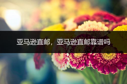 亚马逊直邮,亚马逊直邮靠谱吗