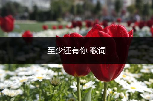 至少还有你 歌词