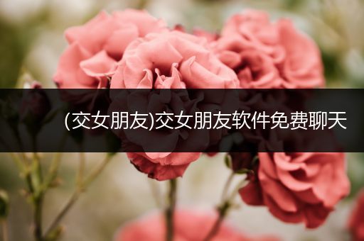 (交女朋友)交女朋友软件免费聊天