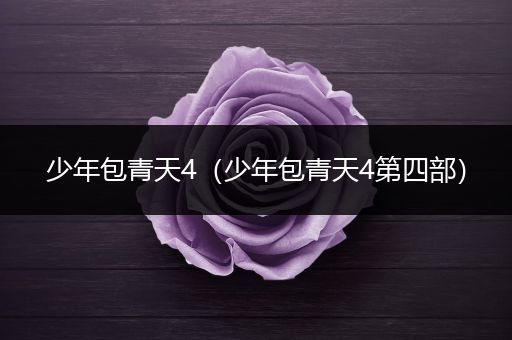 少年包青天4(少年包青天4第四部)