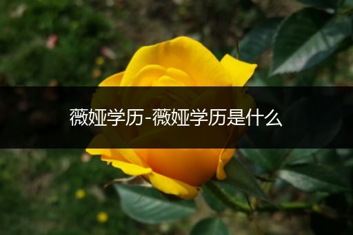 薇娅学历-薇娅学历是什么