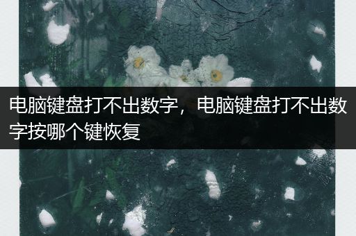 电脑键盘打不出数字,电脑键盘打不出数字按哪个键恢复