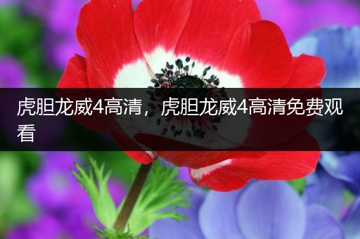 虎胆龙威4高清,虎胆龙威4高清免费观看