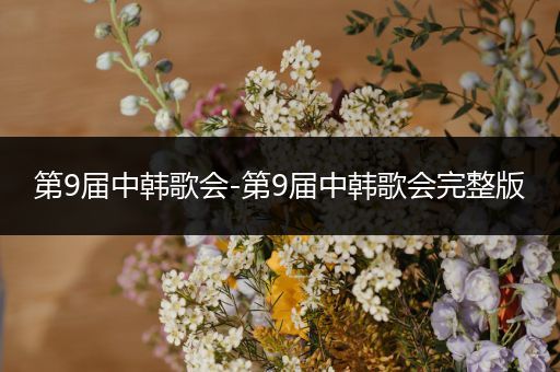 第9届中韩歌会-第9届中韩歌会完整版