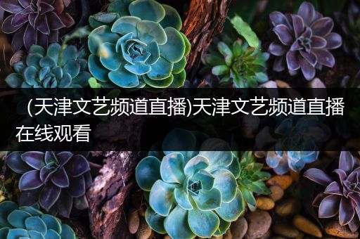 (天津文艺频道直播)天津文艺频道直播在线观看