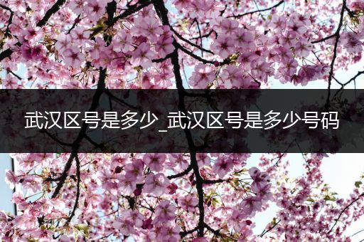 武汉区号是多少_武汉区号是多少号码