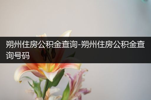朔州住房公积金查询-朔州住房公积金查询号码