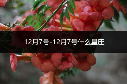 12月7号-12月7号什么星座