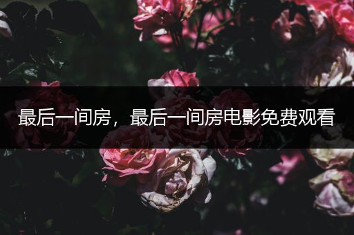 最后一间房,最后一间房电影免费观看