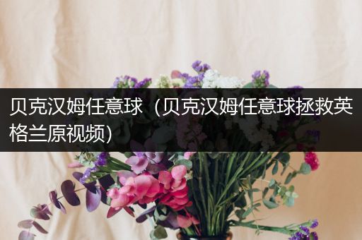 贝克汉姆任意球(贝克汉姆任意球拯救英格兰原视频)