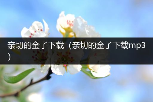 亲切的金子下载(亲切的金子下载mp3)
