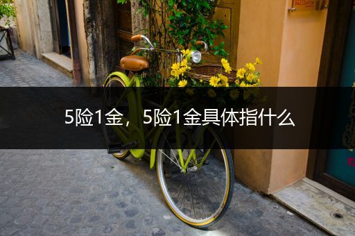 5险1金,5险1金具体指什么