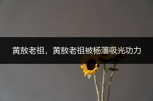 黄敖老祖,黄敖老祖被杨藩吸光功力