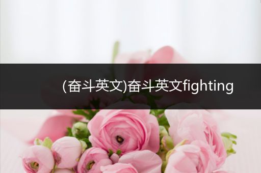 (奋斗英文)奋斗英文fighting