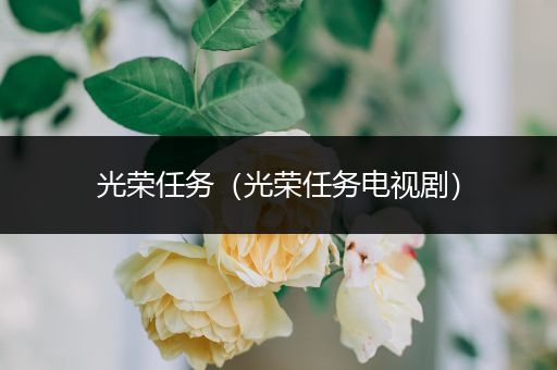 光荣任务(光荣任务电视剧)