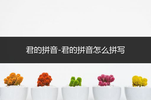 君的拼音-君的拼音怎么拼写