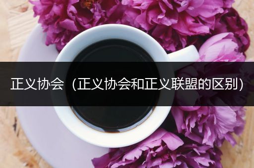 正义协会(正义协会和正义联盟的区别)