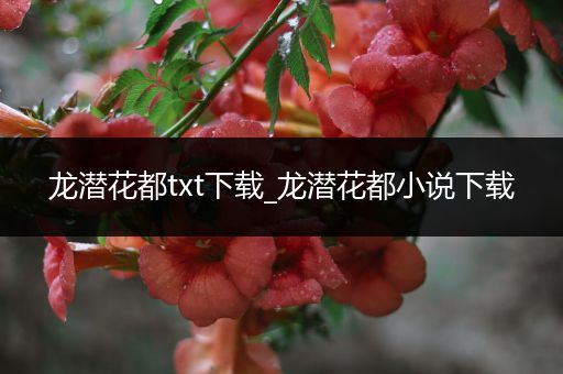 龙潜花都txt下载_龙潜花都小说下载