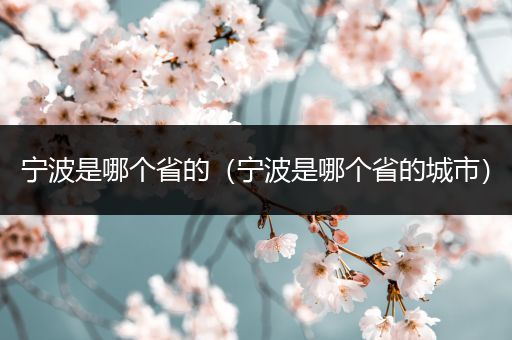 宁波是哪个省的(宁波是哪个省的城市)