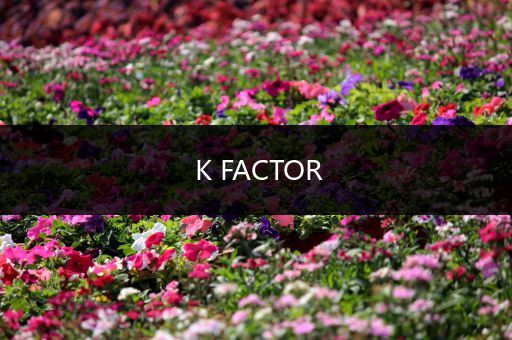 K FACTOR