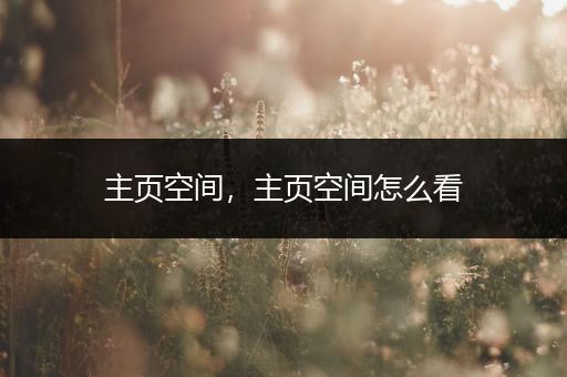 主页空间,主页空间怎么看