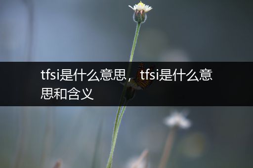 tfsi是什么意思,tfsi是什么意思和含义