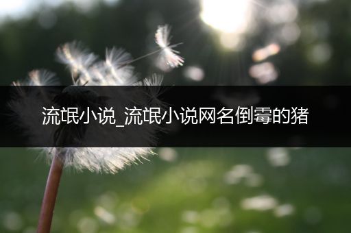 流氓小说_流氓小说网名倒霉的猪