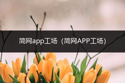 简网app工场(简网APP工场)