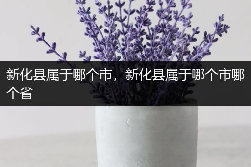 新化县属于哪个市,新化县属于哪个市哪个省