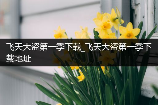 飞天大盗第一季下载_飞天大盗第一季下载地址