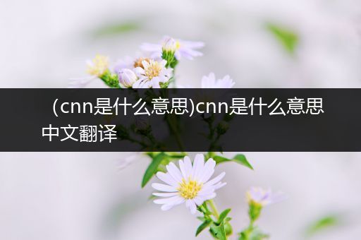 (cnn是什么意思)cnn是什么意思中文翻译