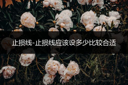 止损线-止损线应该设多少比较合适