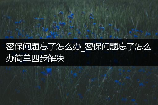 密保问题忘了怎么办_密保问题忘了怎么办简单四步解决