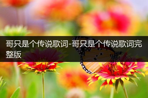 哥只是个传说歌词-哥只是个传说歌词完整版