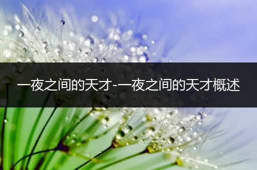 一夜之间的天才-一夜之间的天才概述