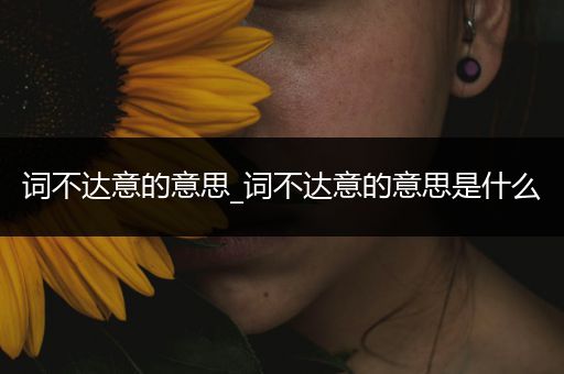 词不达意的意思_词不达意的意思是什么