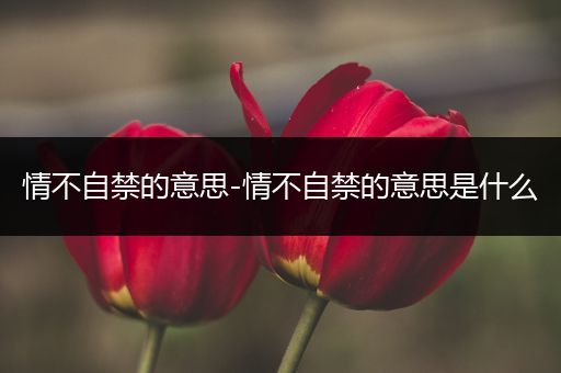 情不自禁的意思-情不自禁的意思是什么
